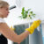 Jak usunąć zapachy z mieszkania: Naturalne sposoby na świeżość